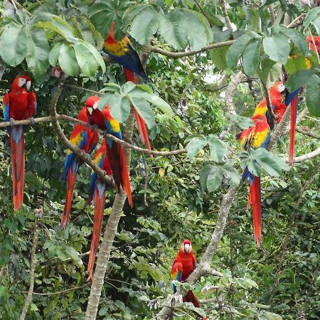 Casa Guacamaya Ξενοδοχείο Palenque Εξωτερικό φωτογραφία