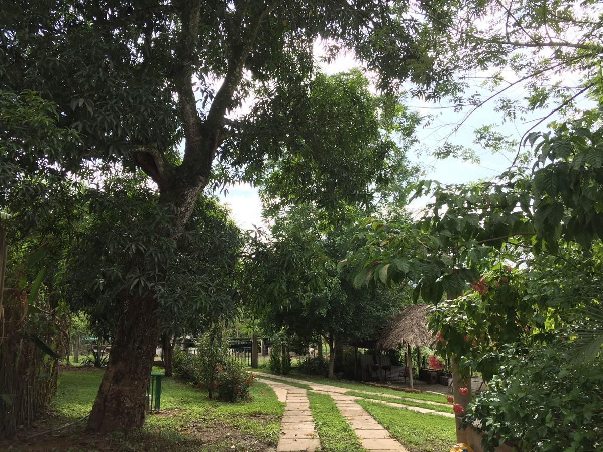 Casa Guacamaya Ξενοδοχείο Palenque Εξωτερικό φωτογραφία